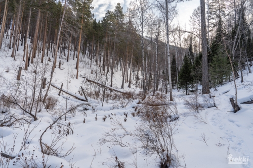 . Зимний Байкал. Бурятия, Ольхон, шаман, Иволгиский Дацан с Trekki.travel