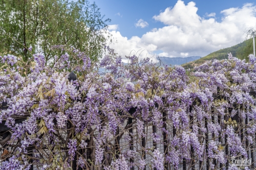 . Загадочное королевство счастья Бутан. Непал, Катманду с Trekki.travel