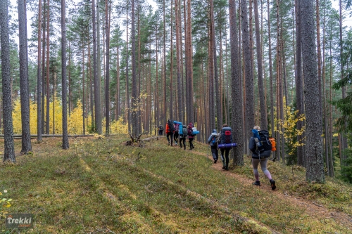 Ленобласть. Поход выходного дня в Петяярви с Trekki.travel