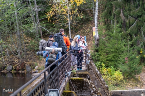 Ленобласть. Поход выходного дня в Петяярви с Trekki.travel