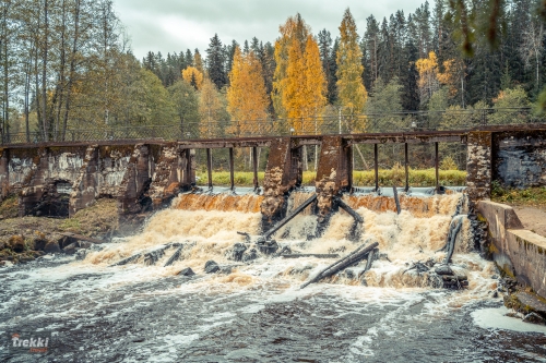 Ленобласть. Поход выходного дня в Петяярви с Trekki.travel