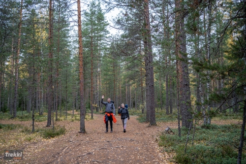 Ленобласть. Поход выходного дня в Петяярви с Trekki.travel