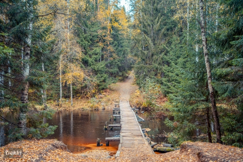 Ленобласть. Поход выходного дня в Петяярви с Trekki.travel