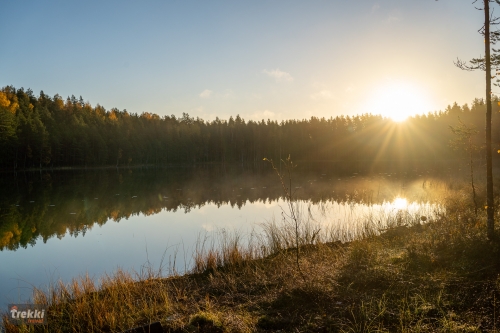 Ленобласть. Поход выходного дня в Петяярви с Trekki.travel