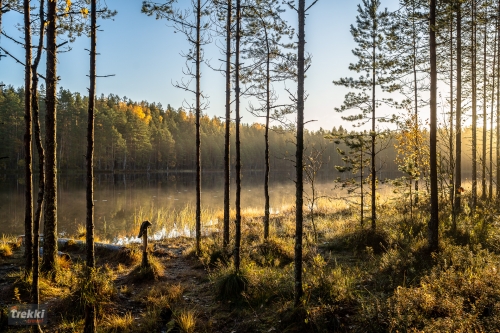 Ленобласть. Поход выходного дня в Петяярви с Trekki.travel