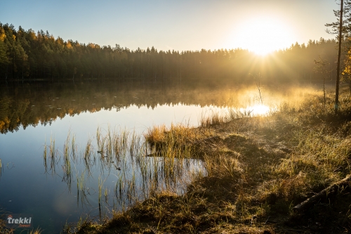 Ленобласть. Поход выходного дня в Петяярви с Trekki.travel