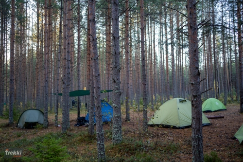 Ленобласть. Поход выходного дня в Петяярви с Trekki.travel