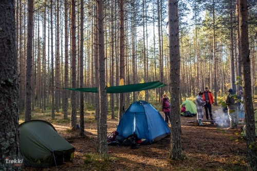 Ленобласть. Поход выходного дня в Петяярви с Trekki.travel