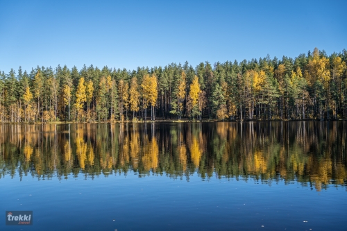 Ленобласть. Поход выходного дня в Петяярви с Trekki.travel