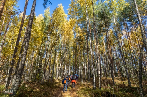 Ленобласть. Поход выходного дня в Петяярви с Trekki.travel