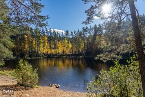 Ленобласть. Поход выходного дня в Петяярви с Trekki.travel